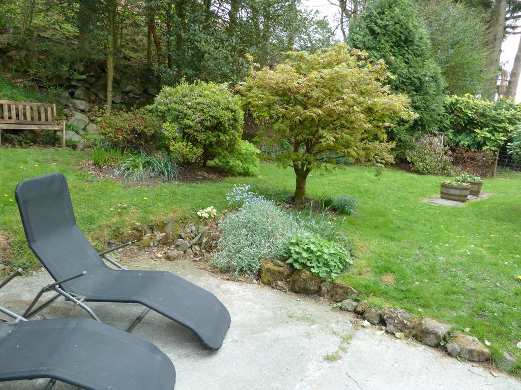 Bronfelin & Troed-Y-Rhiw Holiday Cottage Llanwrtyd Wells Exterior foto